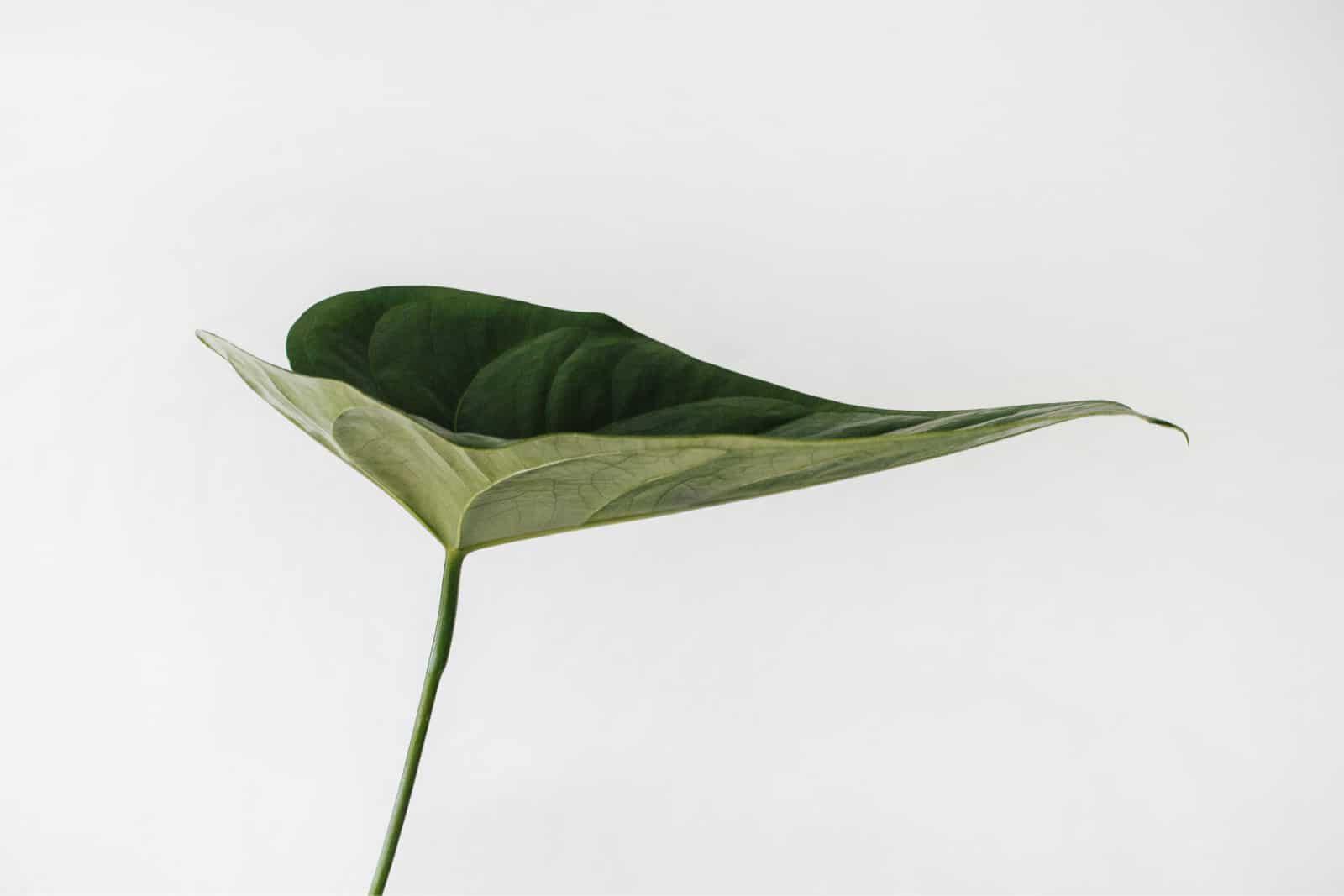 Ảnh tư liệu